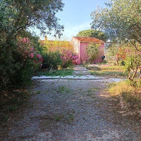 Maison De Vacances, Proche De La Plage Fréjus Exterior photo