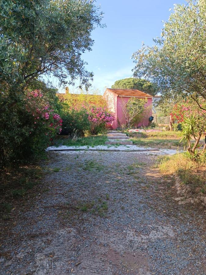 Maison De Vacances, Proche De La Plage Fréjus Exterior photo